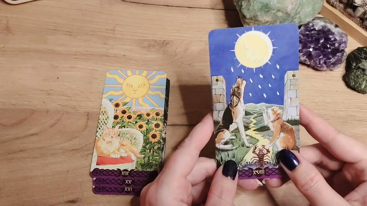 Таро Языческих кошек (Часть 2)