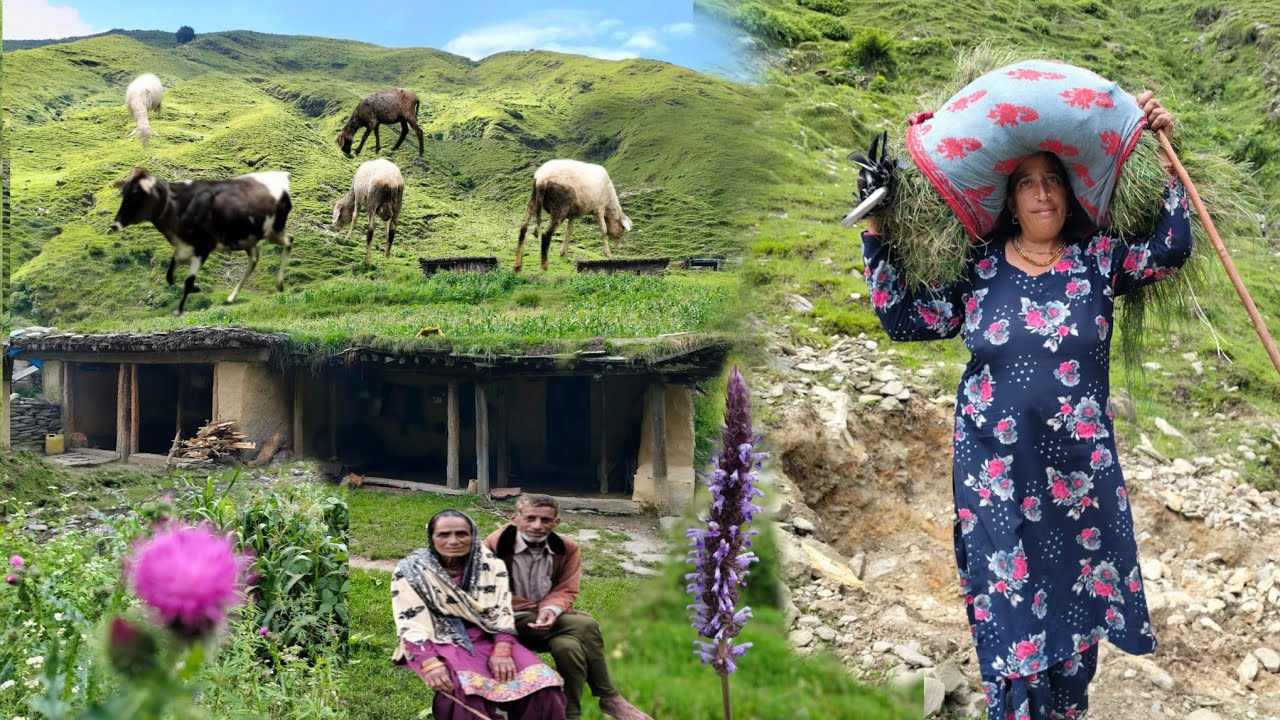 Jammu Kashmir Ke Pahadon Mein Purana Culture Aaj Bhi Zinda Hai ||Pahadi Lifestyle Vlog||