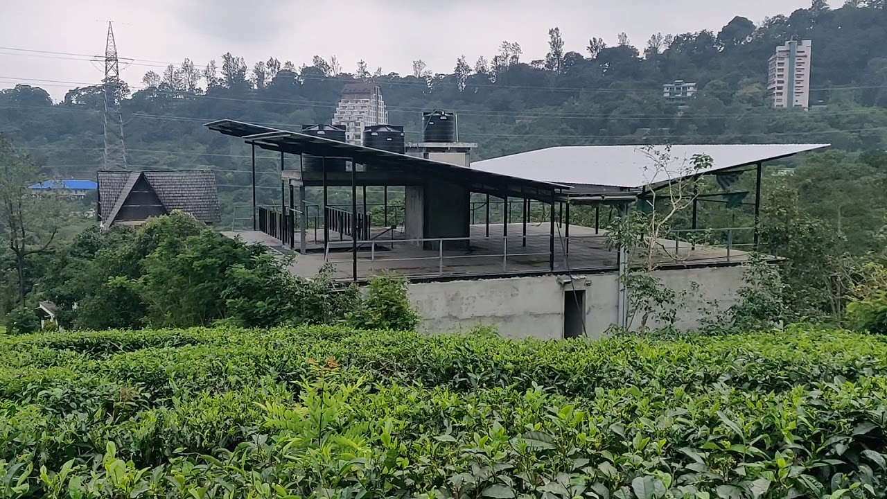 Tea Estates Munnar