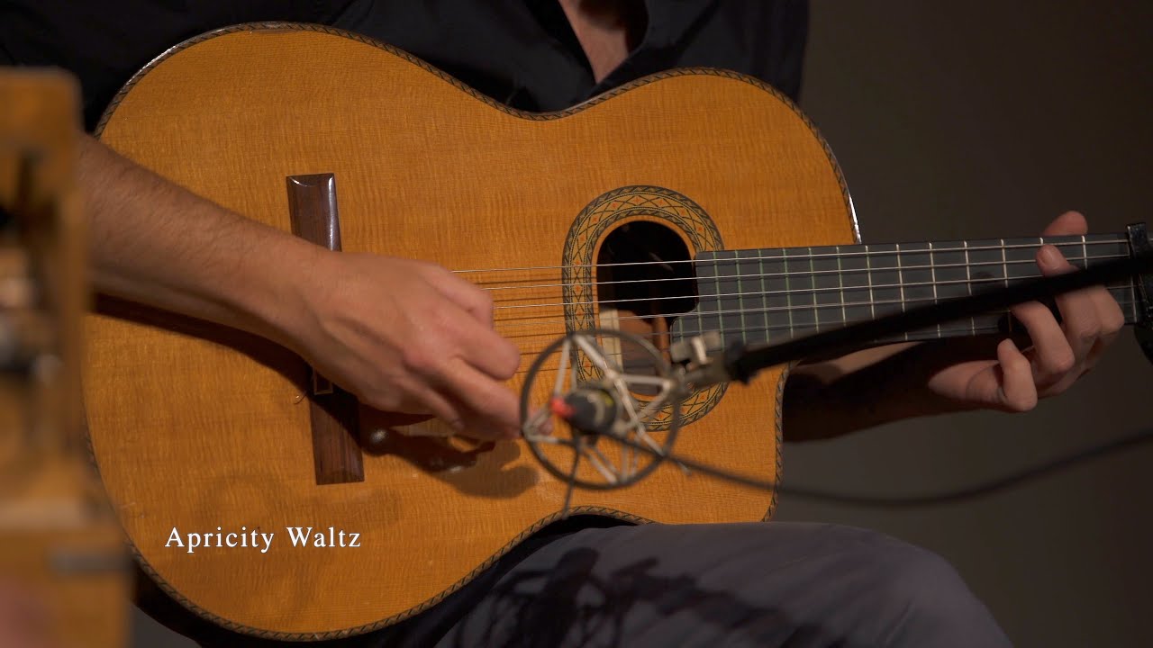 Apricity Waltz — Seamus Egan