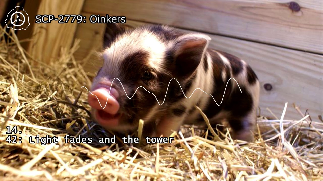 SCP-2779 - Oinkers