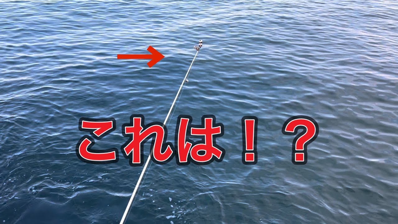 【福岡】鈴が鳴りまくった結果・・・粘りまくって最後の最後に！！in 愛宕浜
