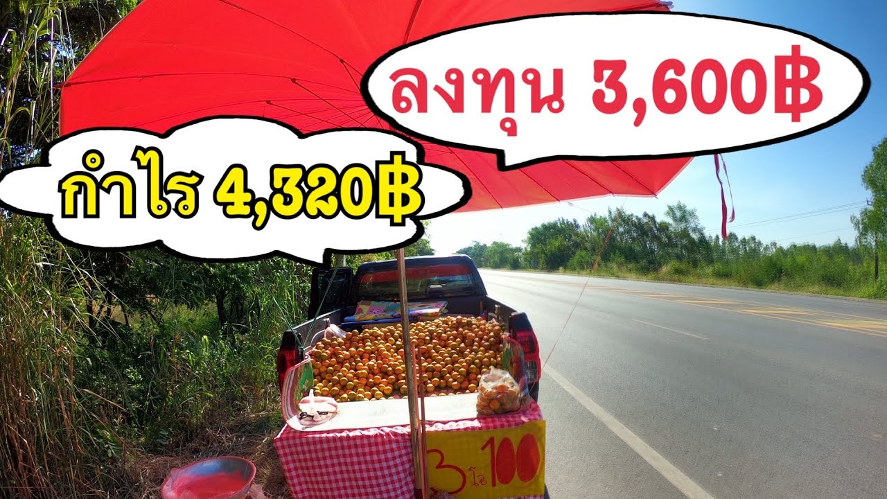 ขายส้มเขียวหวานริมทาง ลงทุน3,600กำไร4,320