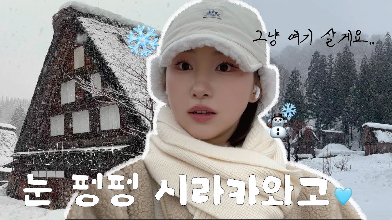 🇯🇵 나고야 혼자 여행 시라카와고 & 다카야마 [3편] l 시라카와고 설경 인생카페 발견❄️ l 당일치기 투어 장단점 l 다카야마 양조장 낮 술 🍶