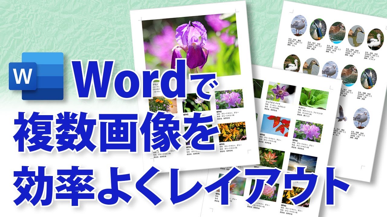 ワードで複数画像を効率よく配置する方法