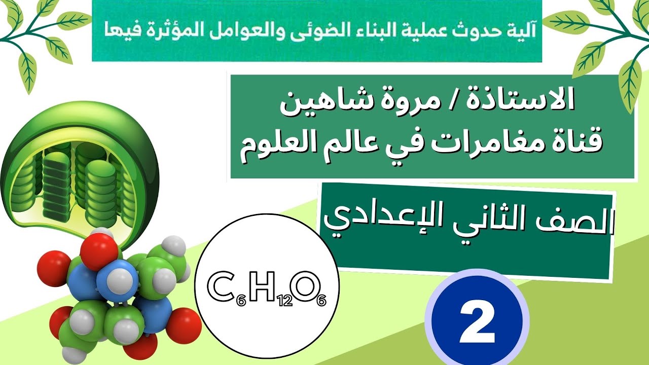 التفاعلات اللاضوئية في النبات - علوم ثانية اعدادي