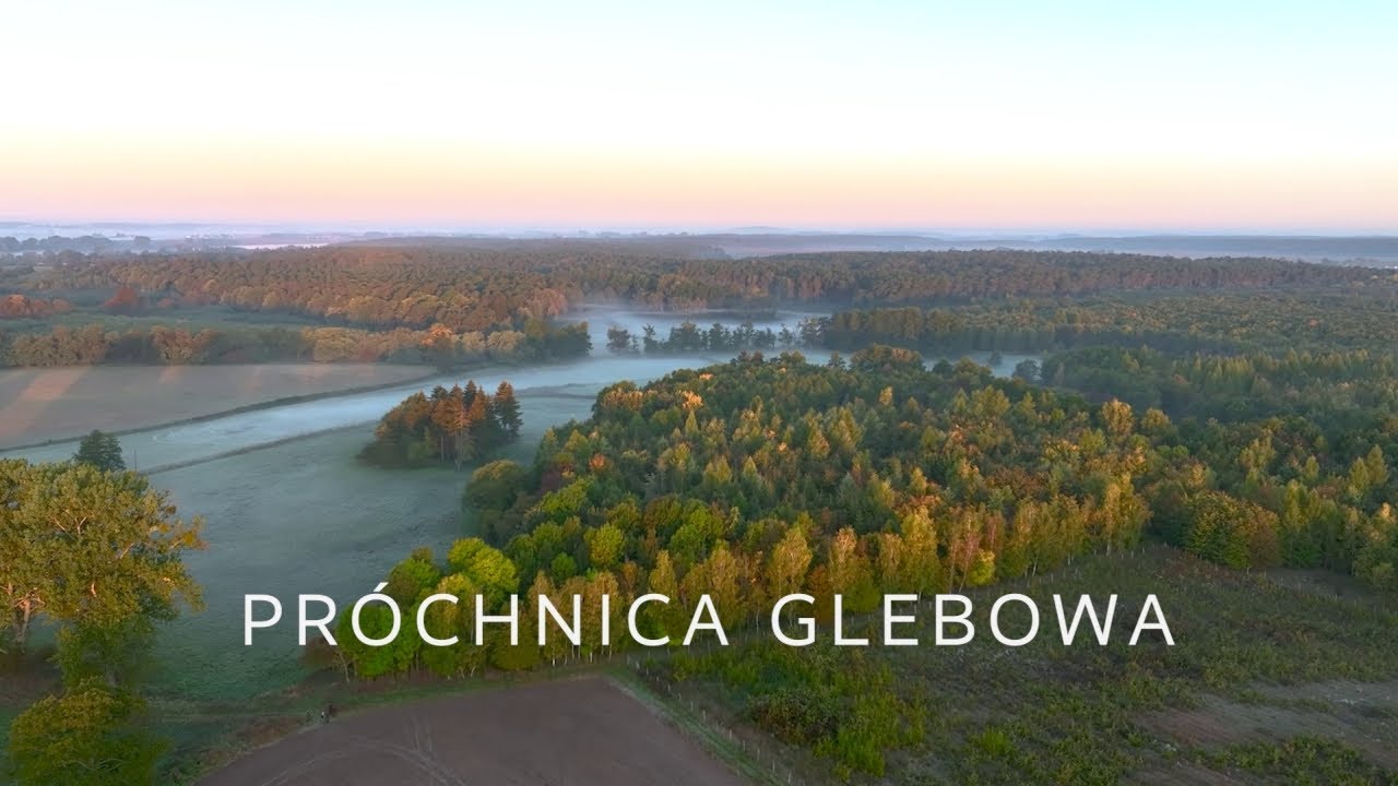 Różnorodność biologiczna. Próchnica glebowa