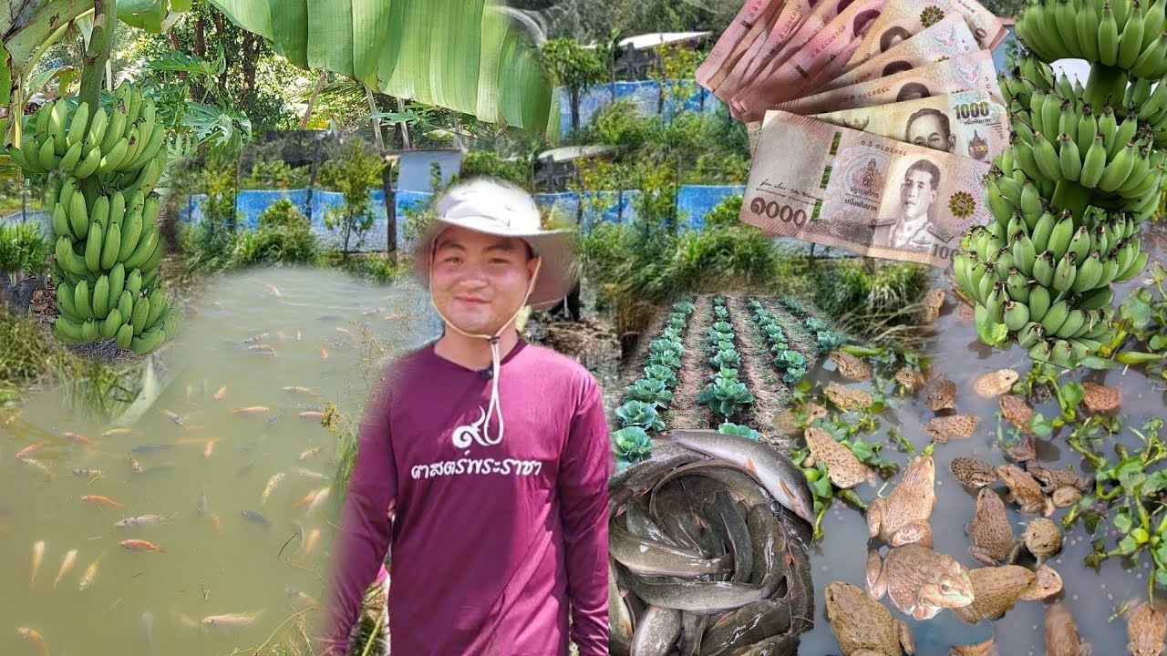 วัยรุ่นยุคใหม่อายุ20ปี!!ทำเกษตรผสมผสานส่งตัวเองเรียน..ปลูกทุกอย่างที่กินได้และขายได้