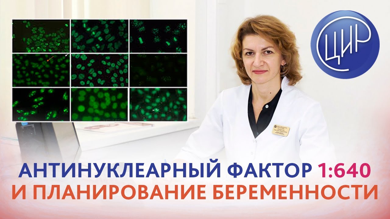 Антинуклеарный фактор 1:640. Можно ли планировать беременность? Дементьева С.Н.