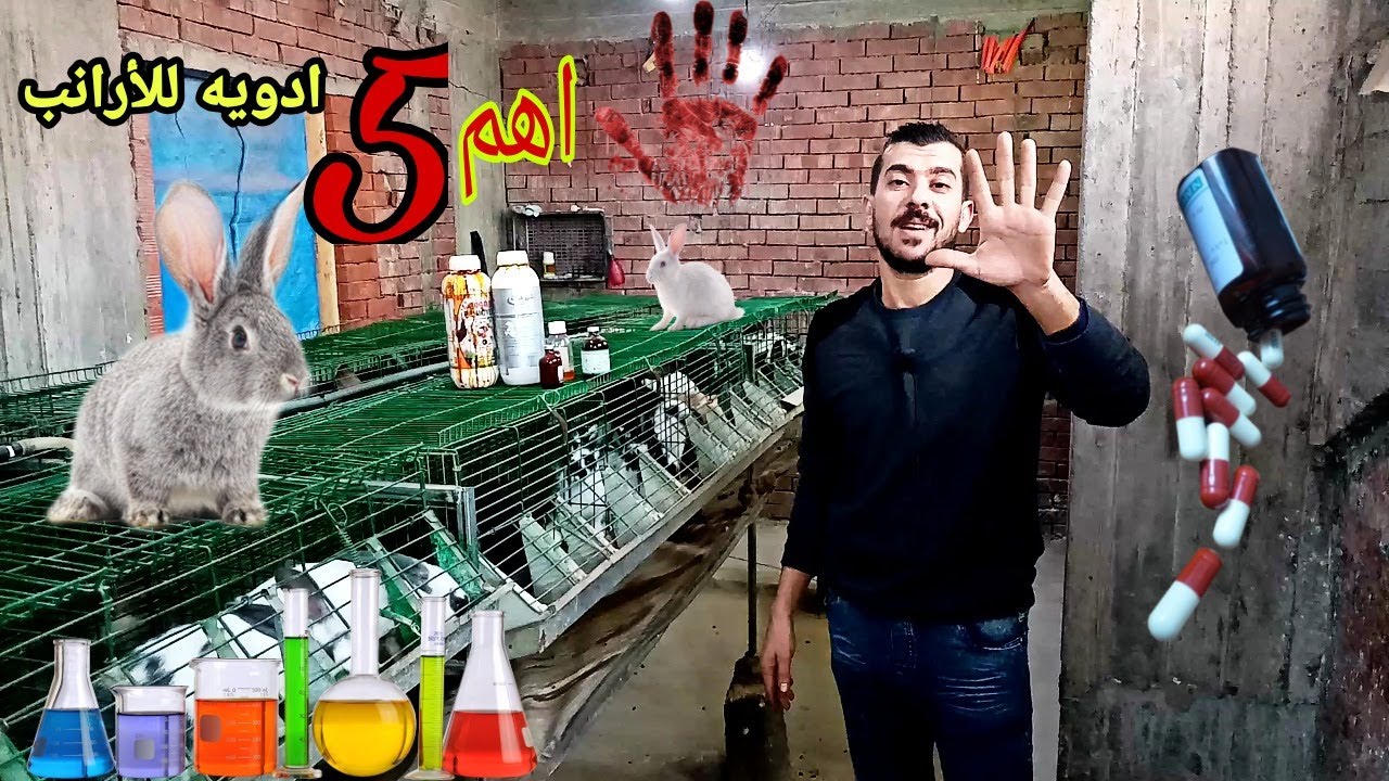 اهم 5 ادويه من الصعب الإستغناء عنهم في مزرعة الأرانب وطرق استخدامهم