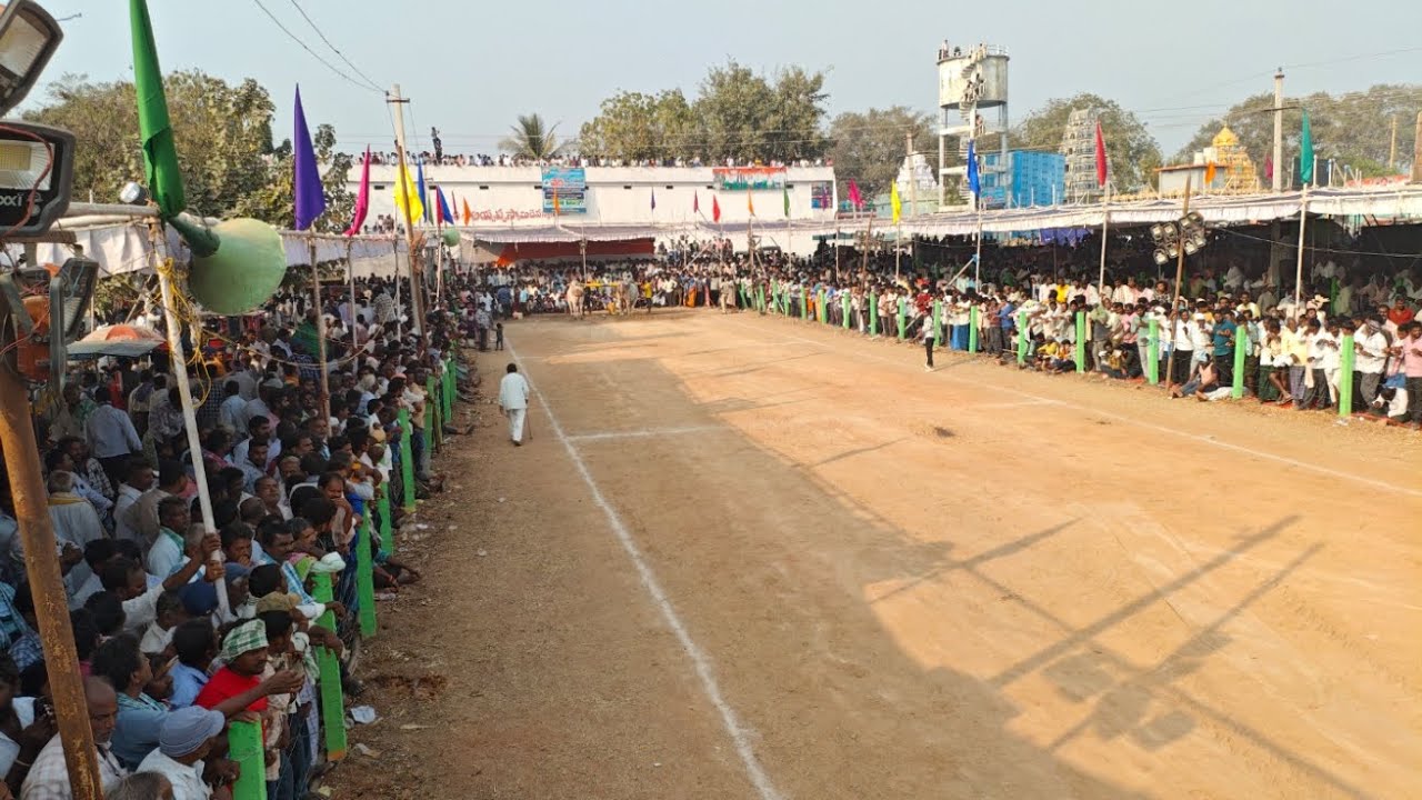 2026 మేళ్లచెర్వు సీనియర్స్ విభాగం విజేతలు వివరాలు