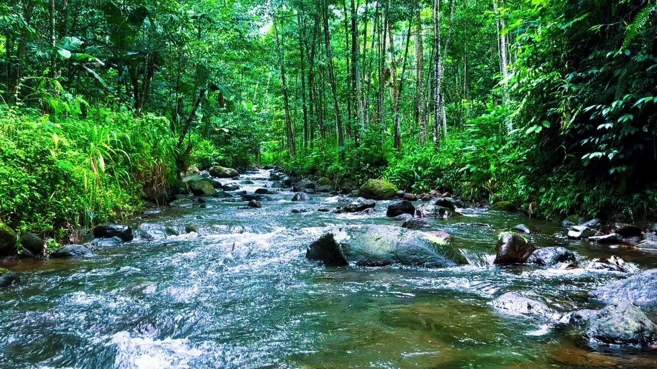meditation river sounds for deep sleep - water nature sounds for sleeping and deep relaxation
