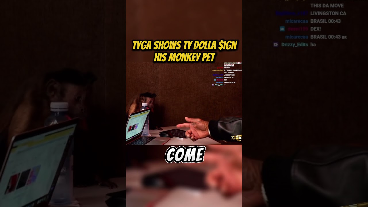 Tyga showing his monkey pet #tyga #tydollasign #twitch #viral #fyp #shorts
