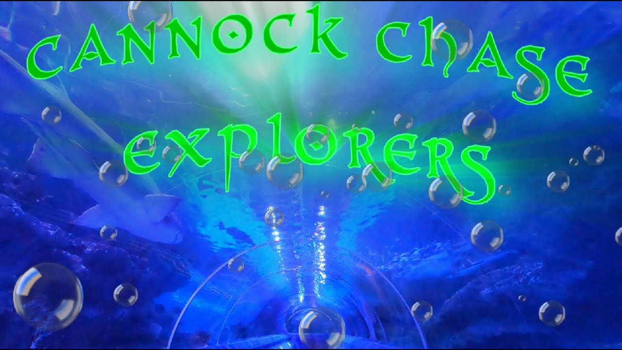 Blue Planet Aquarium UKs largest collection of sharks and marine creatures from all over the world