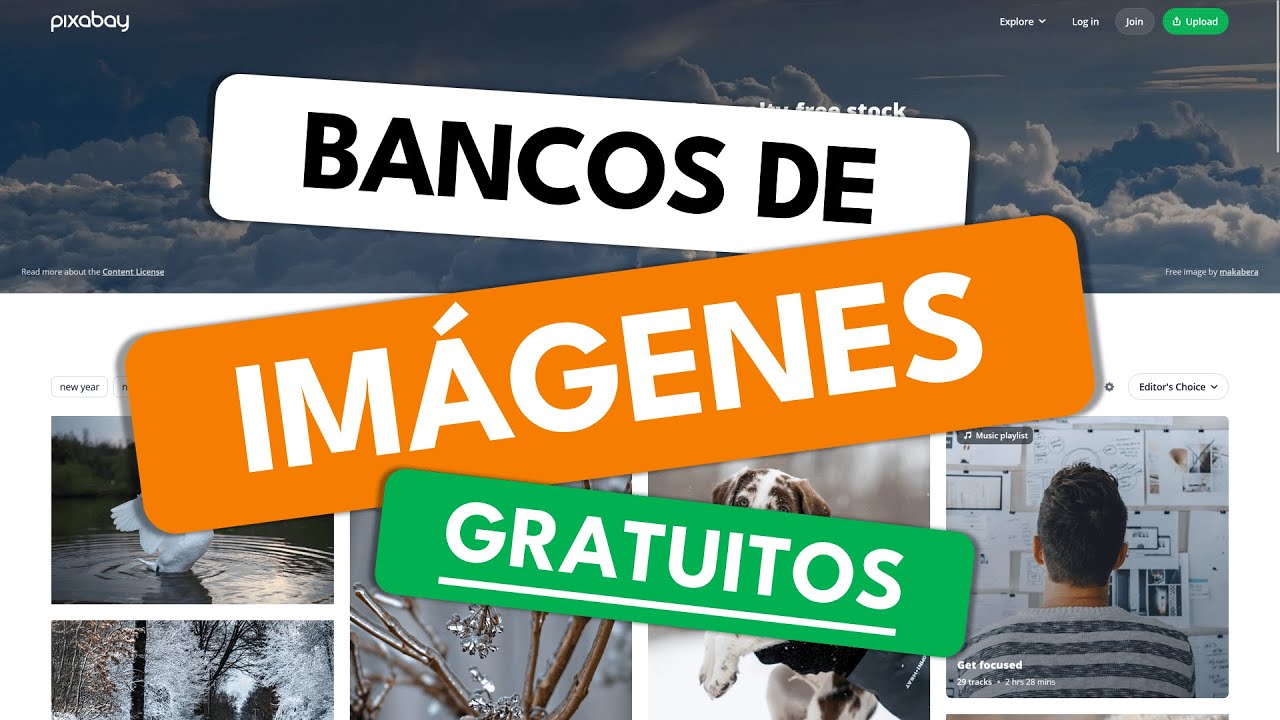Las 5 mejores Páginas para descargar Imágenes de calidad GRATIS y libres derechos de autor 🔥
