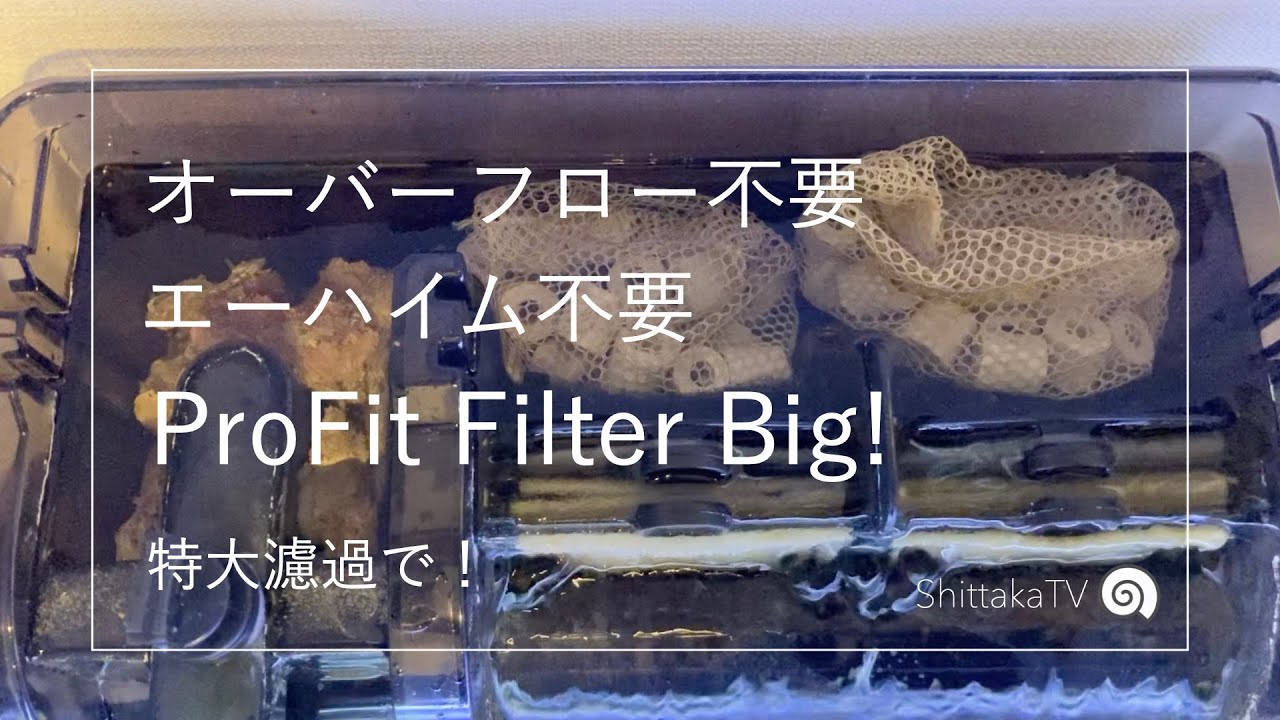 オーバーフロー不要！ProFit Filter Bigで海水魚水槽を。No.011