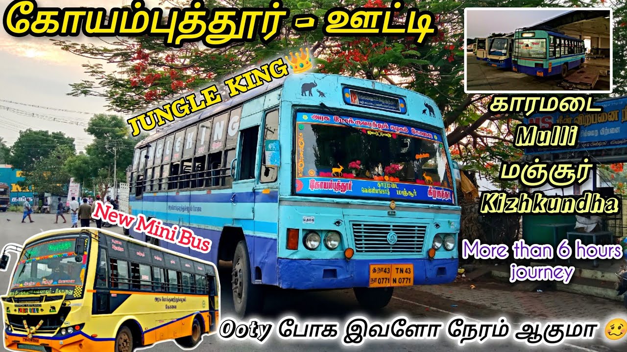🚌TNSTC TRAVEL VLOG|COIMBATORE 🔁 OOTY VIA MANJOOR| coimbatore to kizhkundha bus |EXPLORE WITH ARKESH
