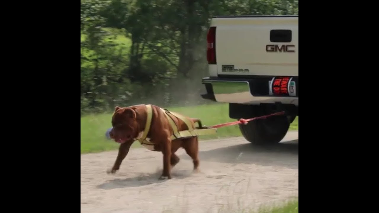 THE HULK LIFE: DO You think HULK could pull my truck Out of the Snow?