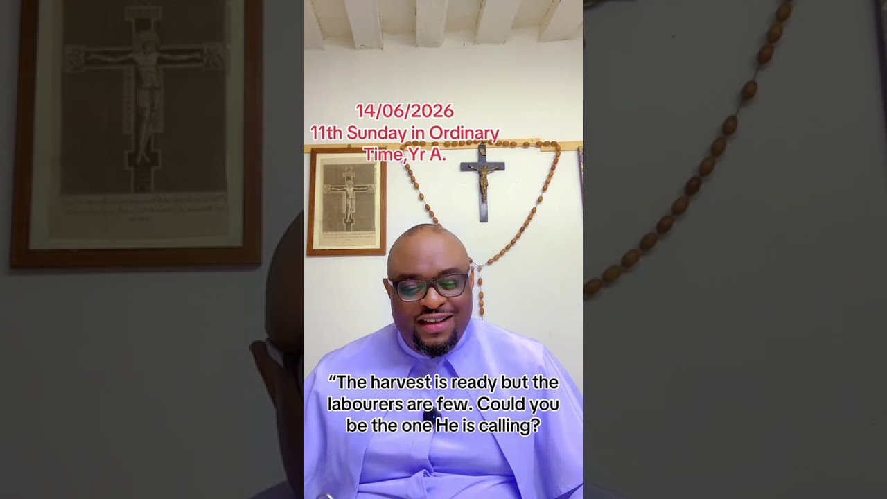 Jesus Is Calling You Today! | Homily for the 11th Sunday in Ordinary Time (Year A) | Matthew 9:37. 