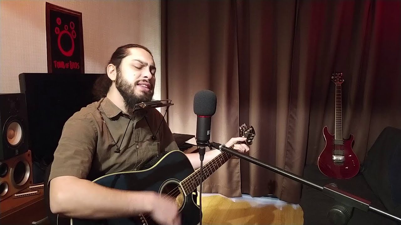 POISON HEART - THE RAMONES (Diego Yakich, acoustic cover)