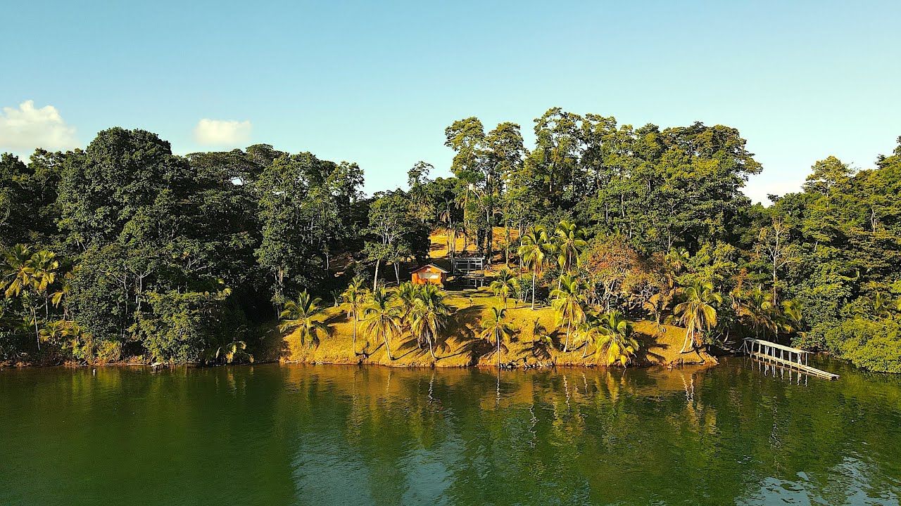 24.7 acres Titled Land with Cabin and Boat dock in Bocas del Toro South Community, Panama