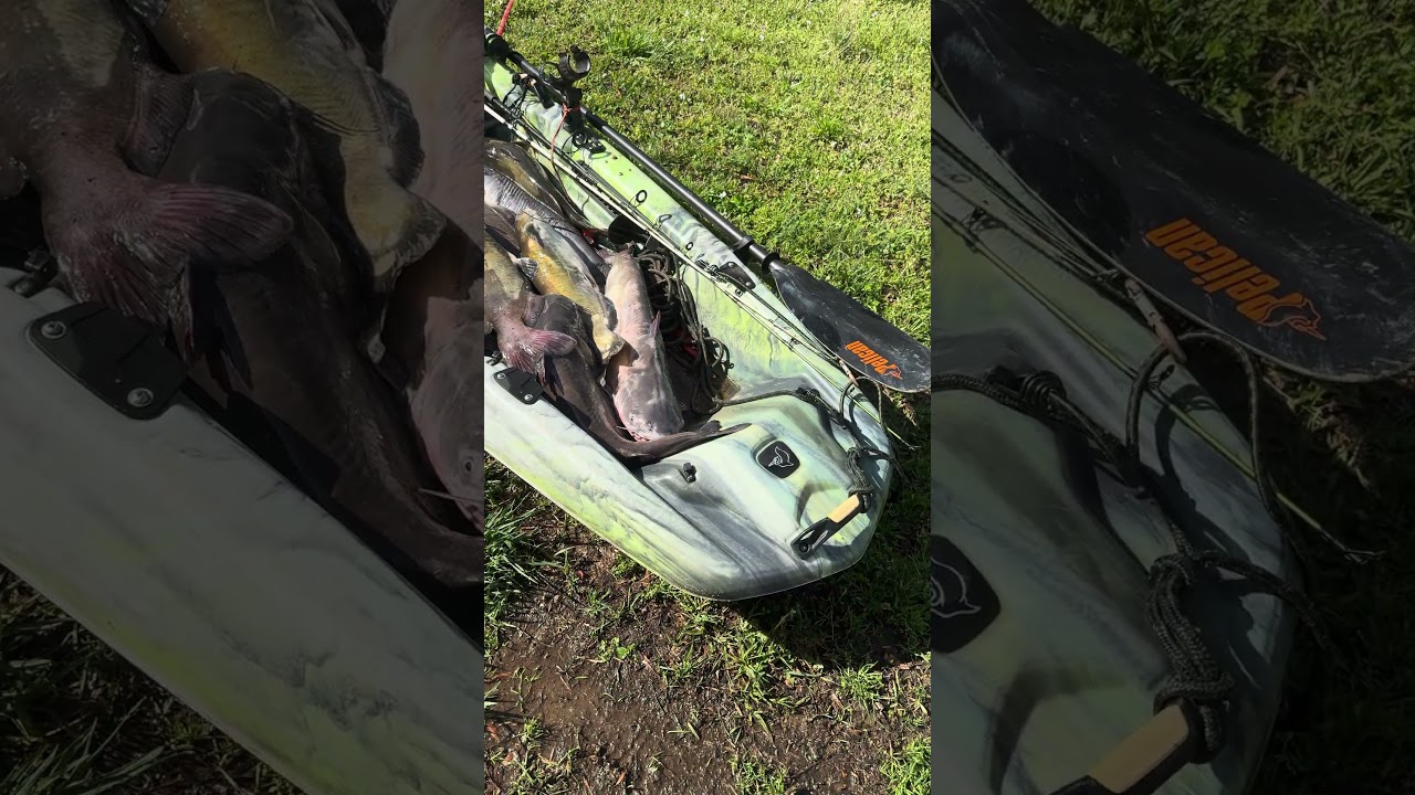 What a day on the water!! #shorts #fishing #kayakfishing