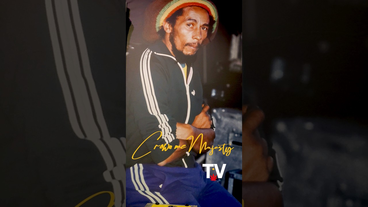 BOB MARLEY CONFRONTATION 🦁🔥🍃🌿 