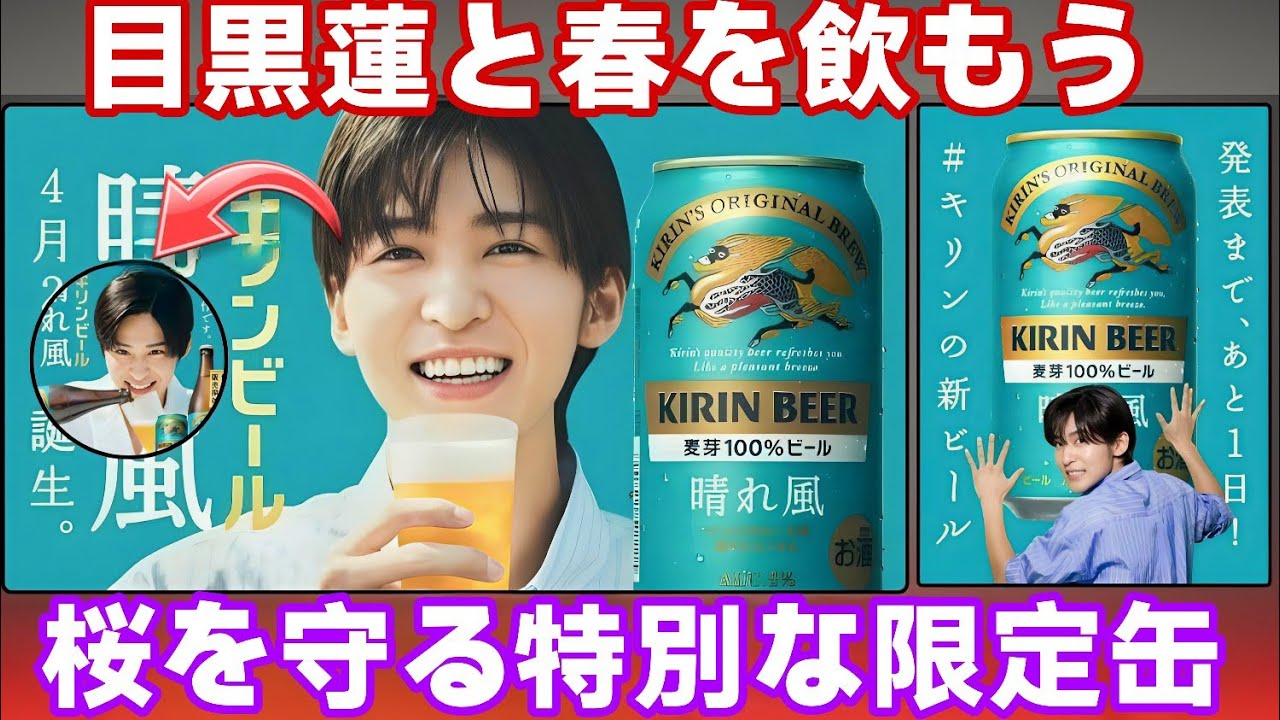 🥤目黒蓮登場🌸 「晴れ風」桜缶ついに解禁💫 春を動かす本気の社会貢献🌿