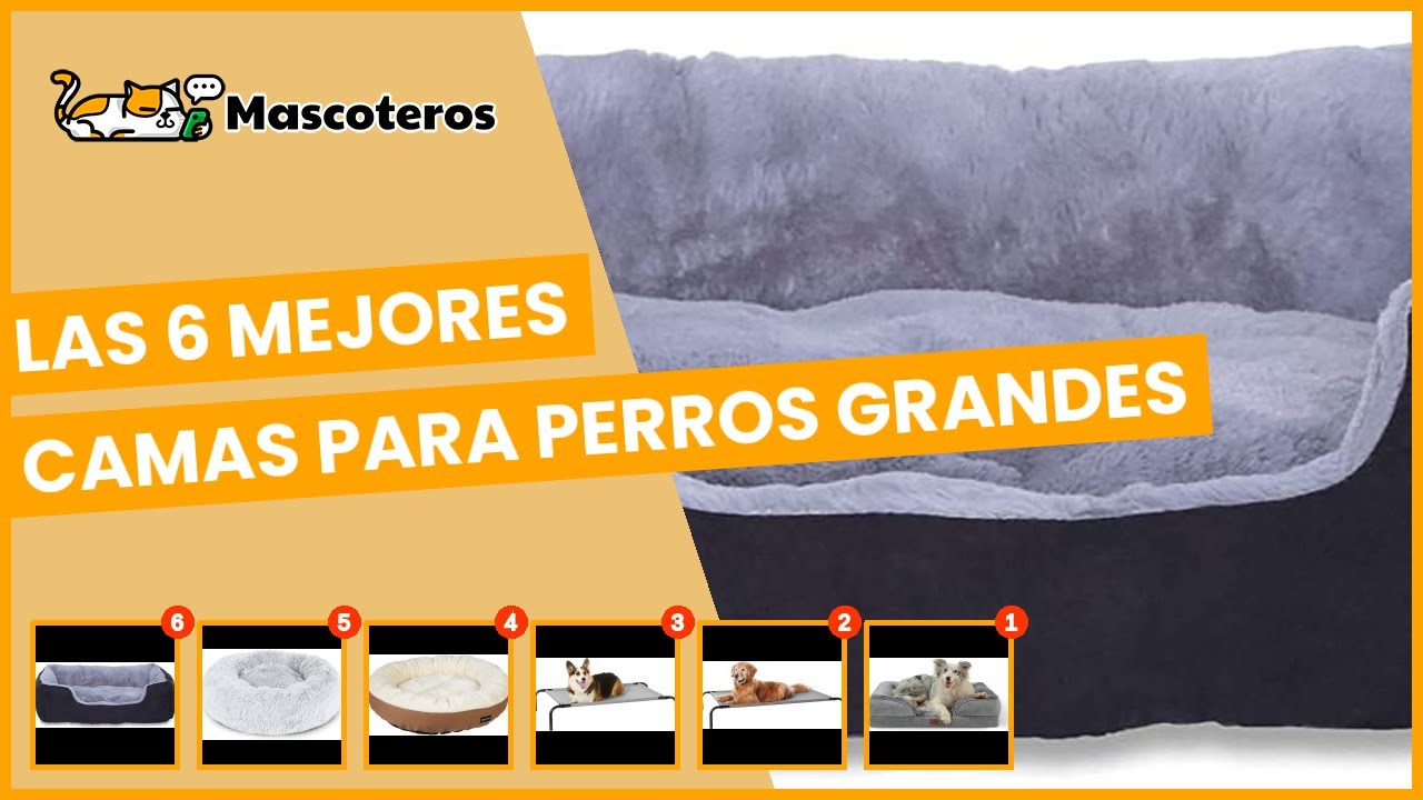 Las 6 mejores camas para perros grandes