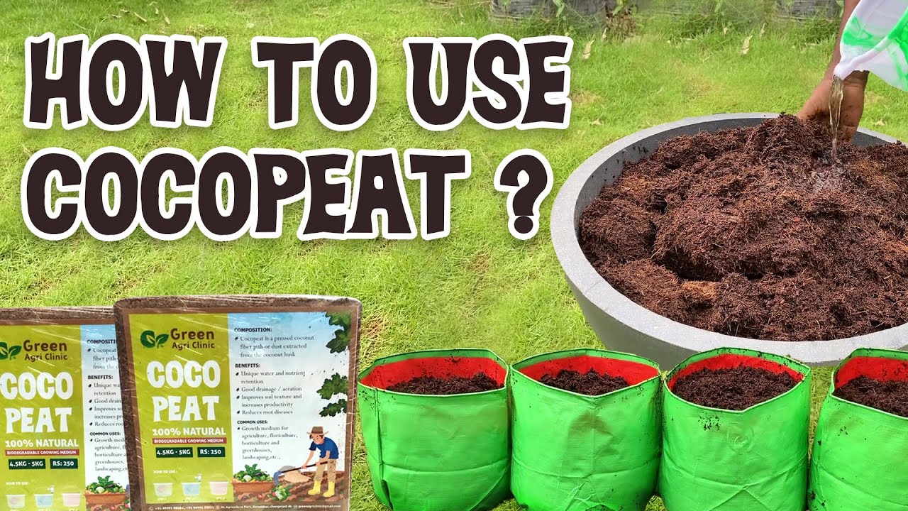 Coco-peat explained in Tamil | கோகோபீட் என்றால் என்ன? | கோகோபீட்டின் நன்மைகள் |