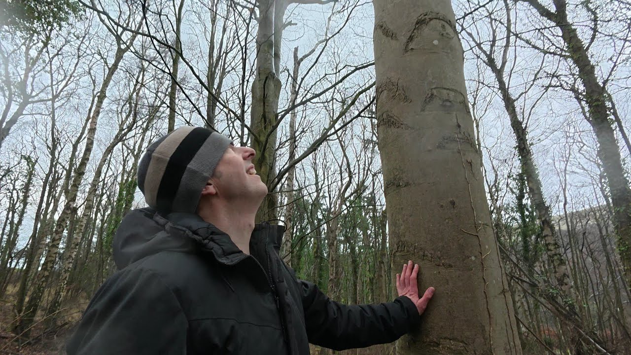 Разговоры о Психическом Дереве 🌳 Очищение от Элементалей. Подготовка к Огненной Лошади 🔥 плюс Гре...