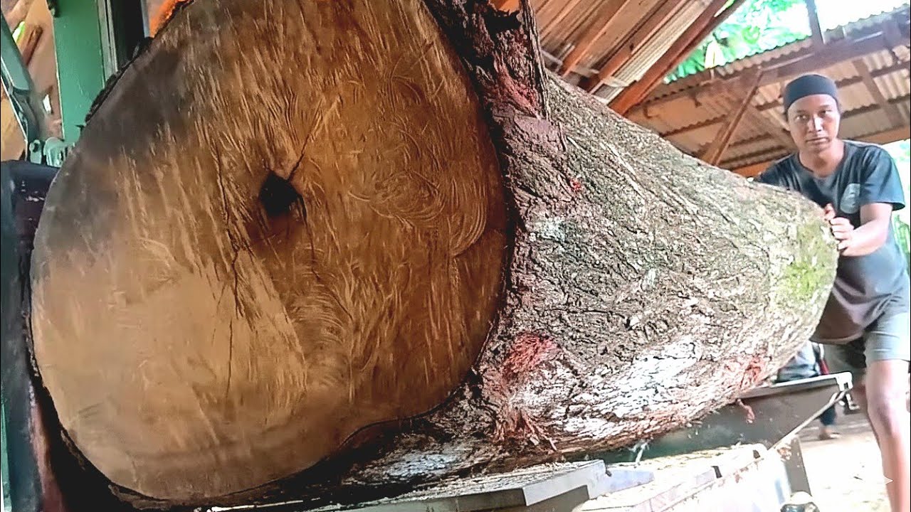 🌳The Process of Sawing Large Wood from Logs into Planks🌳