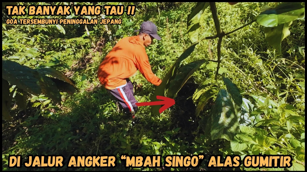 Mengunjungi Peninggalan Perang Dunia Ke 2 Di Jalur Mbah Singo Alas Gumitir