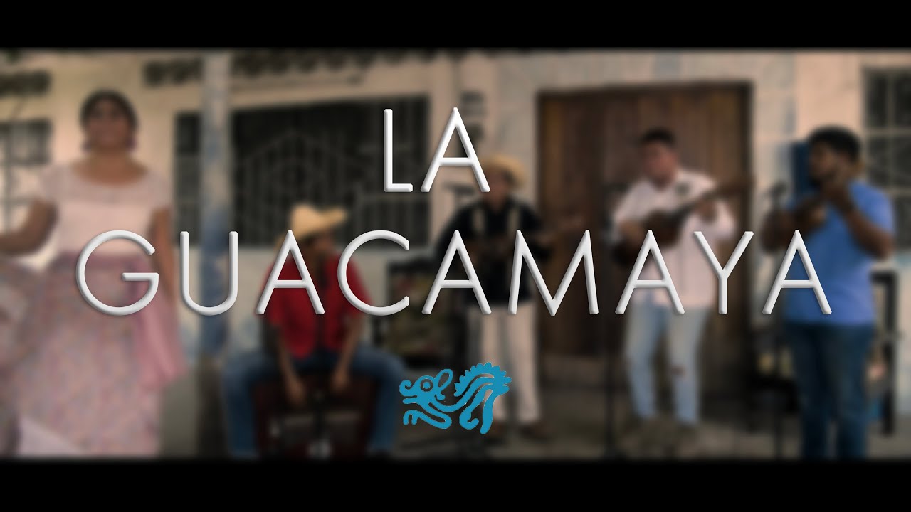 La guacamaya