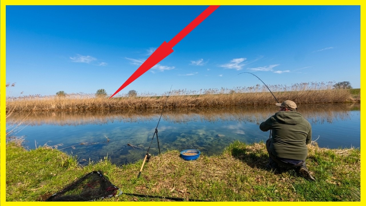 Angeln im Fr&uuml;hjahr am Fluss bei&szlig;en Karpfen, D&ouml;bel & Schleie trotz Kaltwasser und der erste Aal?