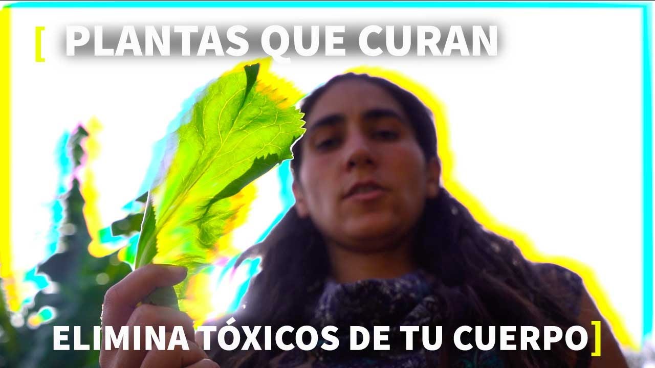 SÚPER MEDICINA 🌱 NATURAL [Propiedades, Usos, Beneficios, Recetas]