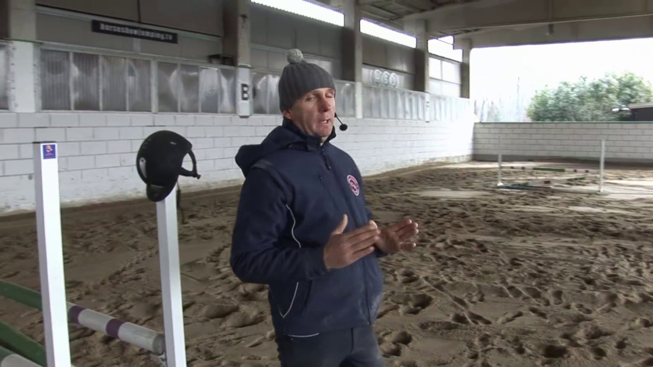 Lezioni Equitazione - Salto ostacoli tecnica equestre - Come affrontare linee di 14,5 e 18 metri