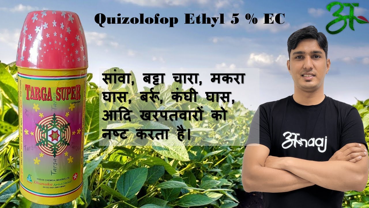 Targa Super  के बारे में सब कुछ जानिए | Dhanuka Agritech Limited | Anaaj App