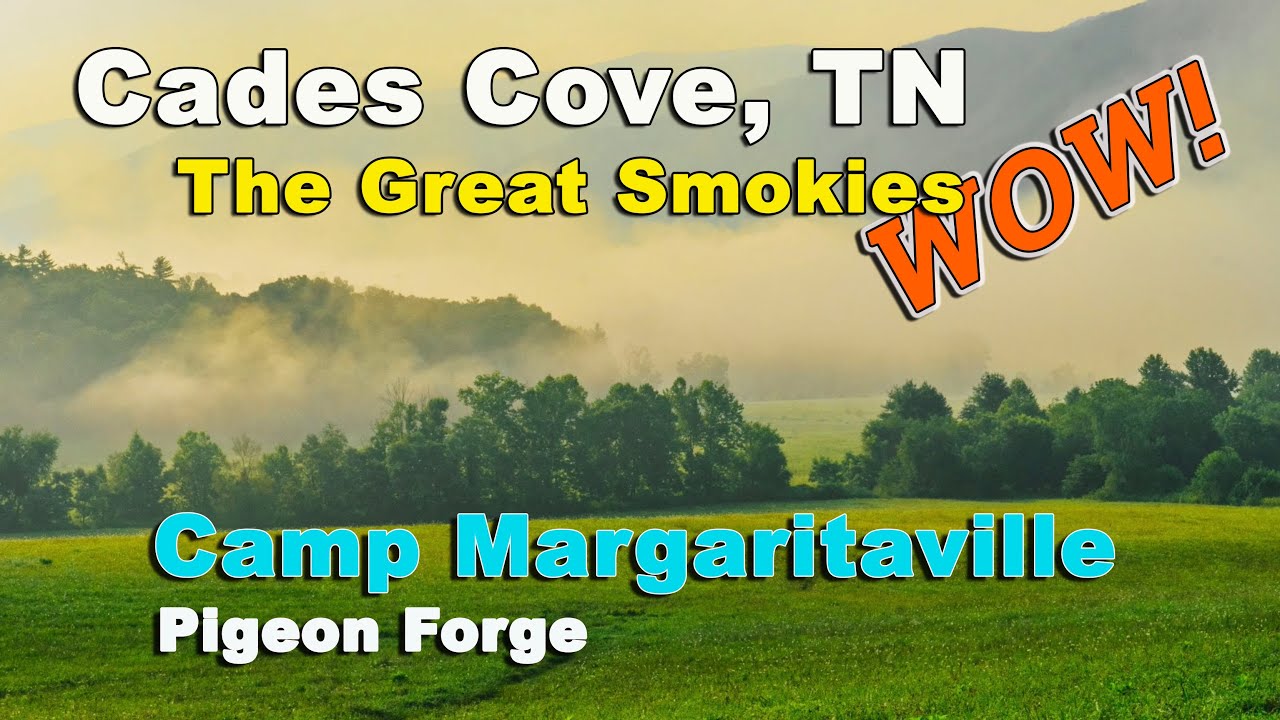 Camp Margaritaville RV Resort | Cades Cove Black Bear | Gatlinburg | The Great Smokies