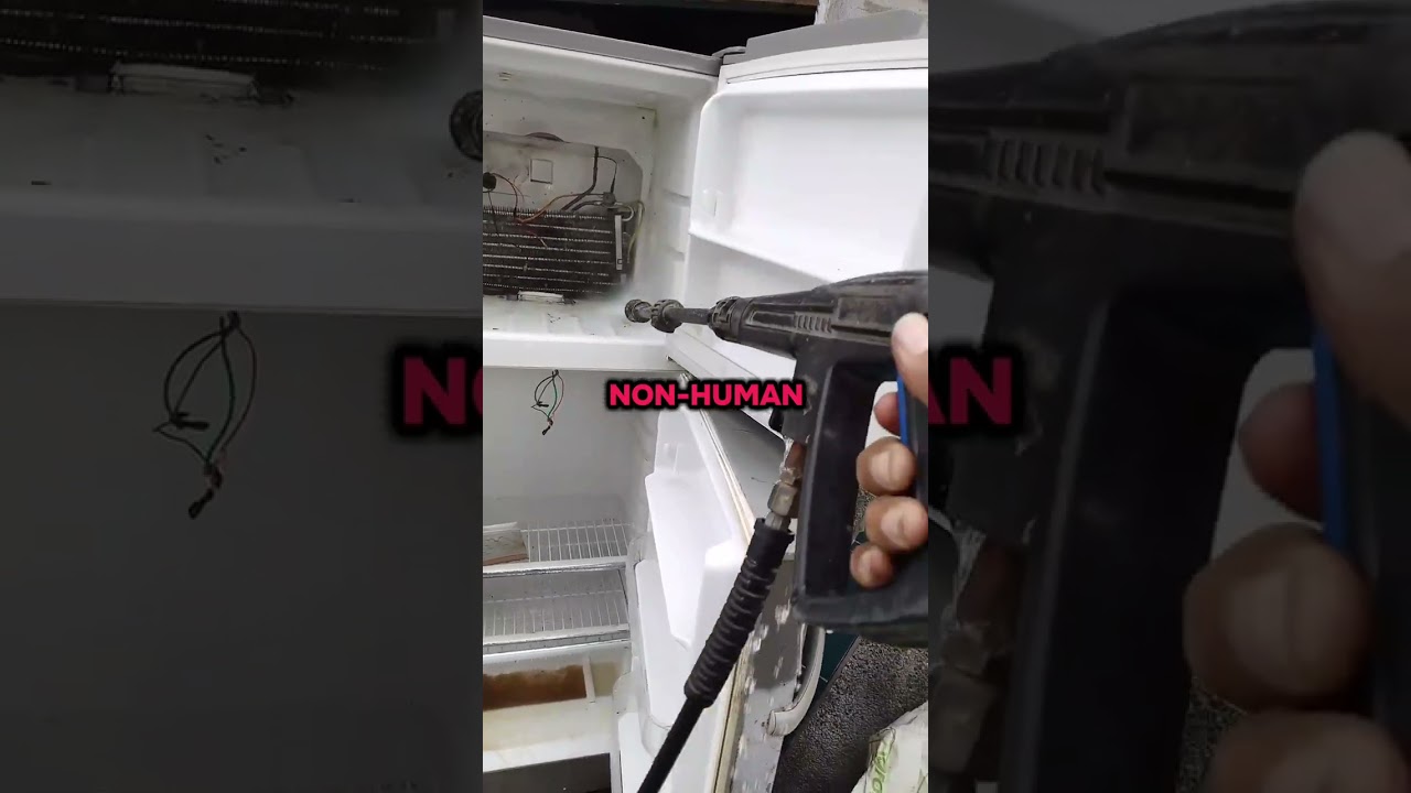 Limpiando y reparando nevera con gusanos la mayoría de las neveras tiene gusanos pero no los ven ojo