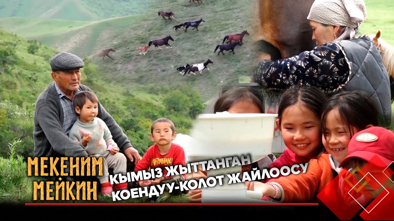 Кымыз жыттанган Коендуу-Колот жайлоосундагы жай турмуш // МЕКЕНИМ МЕЙКИН