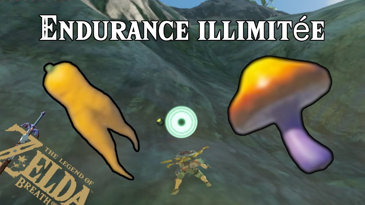 Endurance illimitée sur BOTW !