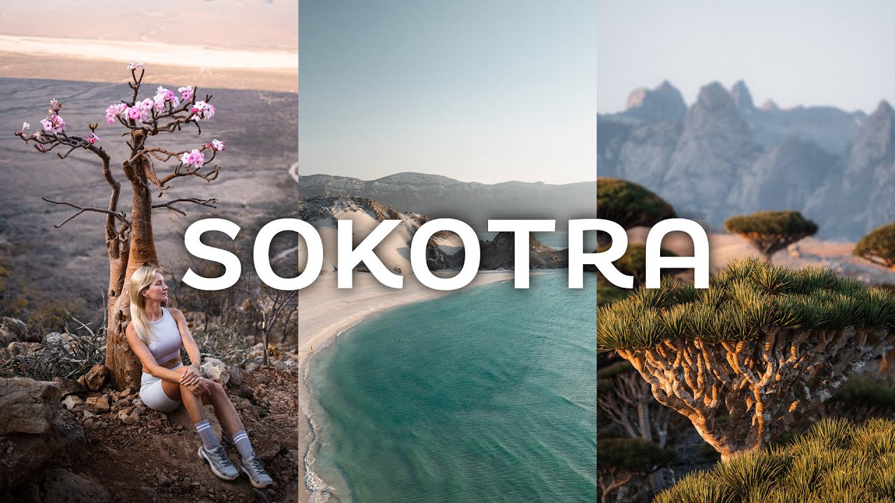 Kr&oacute;tki film o Sokotrze - 