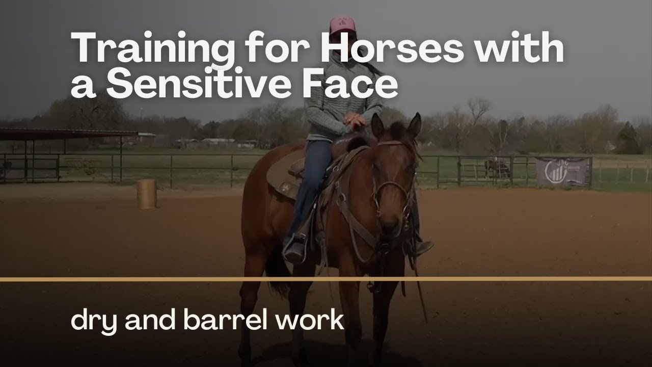 Training Barrel Horses with a Sensitive Face with Jolene Montgomery