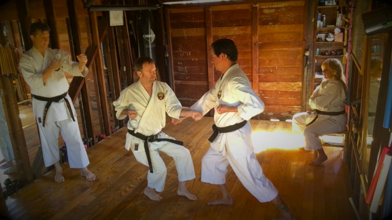 Pinan Nidan Bunkai