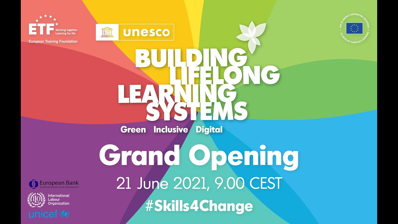 Building lifelong learning systems: Setting the scene