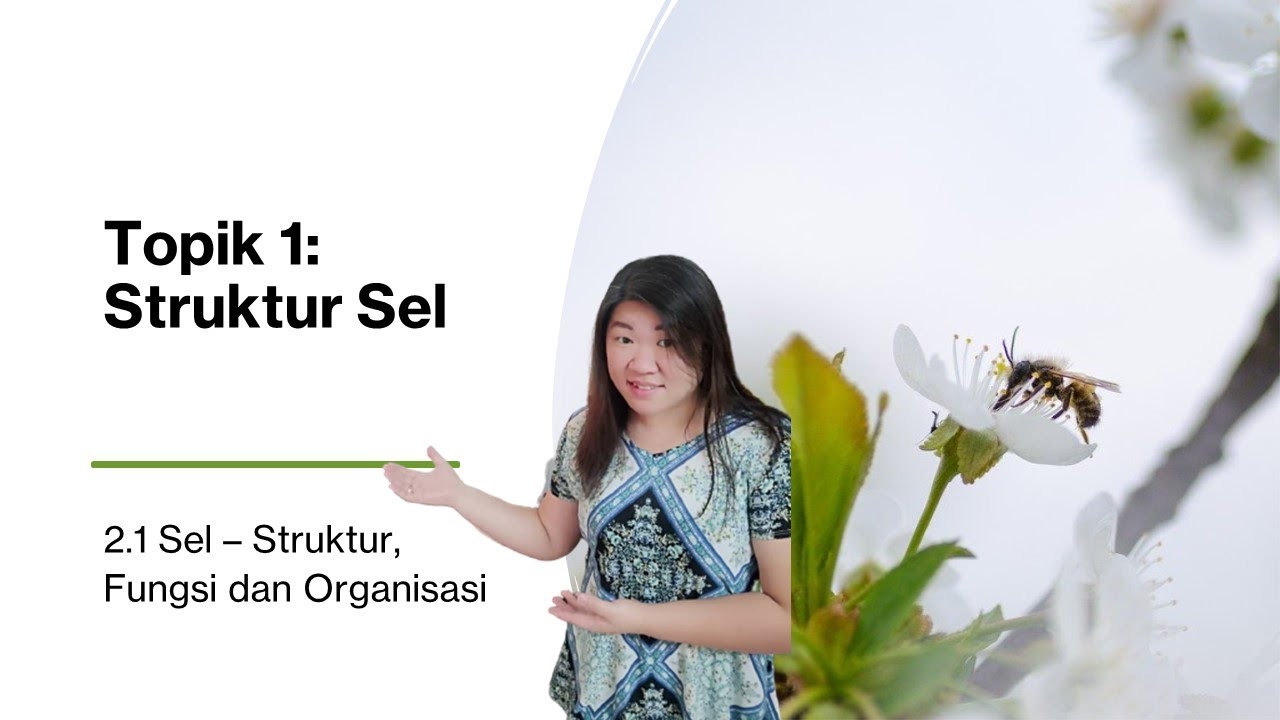 [Sains T1] Bab 2.1 (A) Struktur Sel #T1 #KSSM #PT3