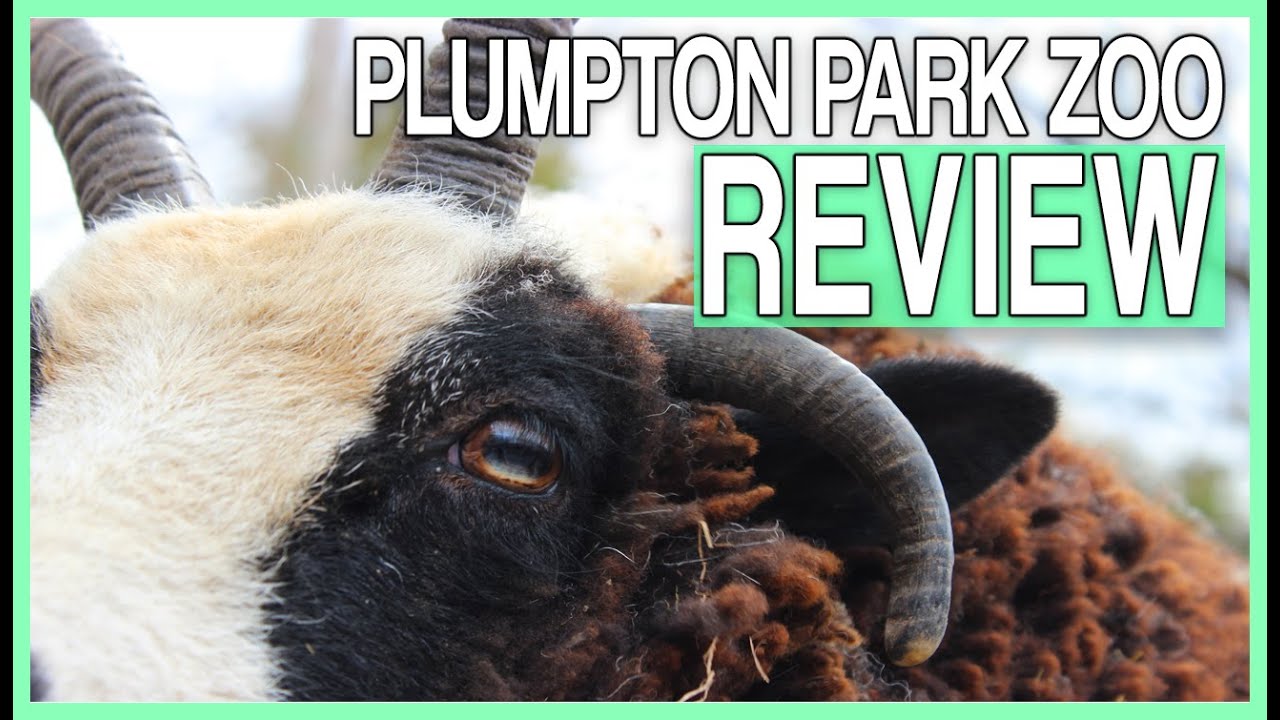 Plumpton Park Zoo REVIEW! (2020)