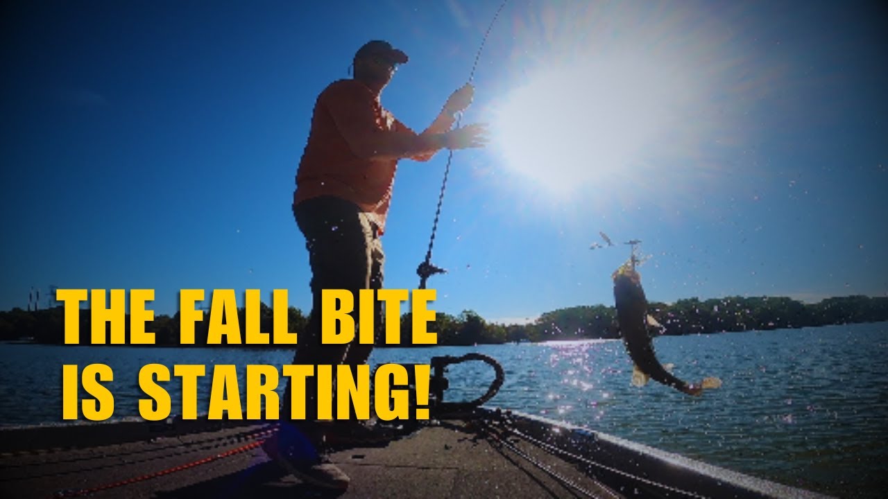 Quick Fall Fishing Trip | Spinnerbait Bite at Alum Creek