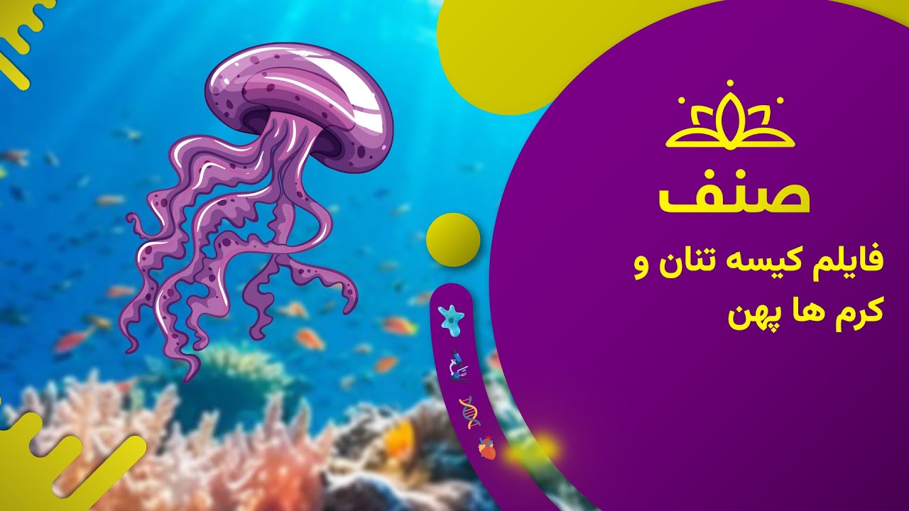 صنف - بیولوژی صنف هشتم- درس ۱۶: فایلم کیسه تنان و کرم های پهن